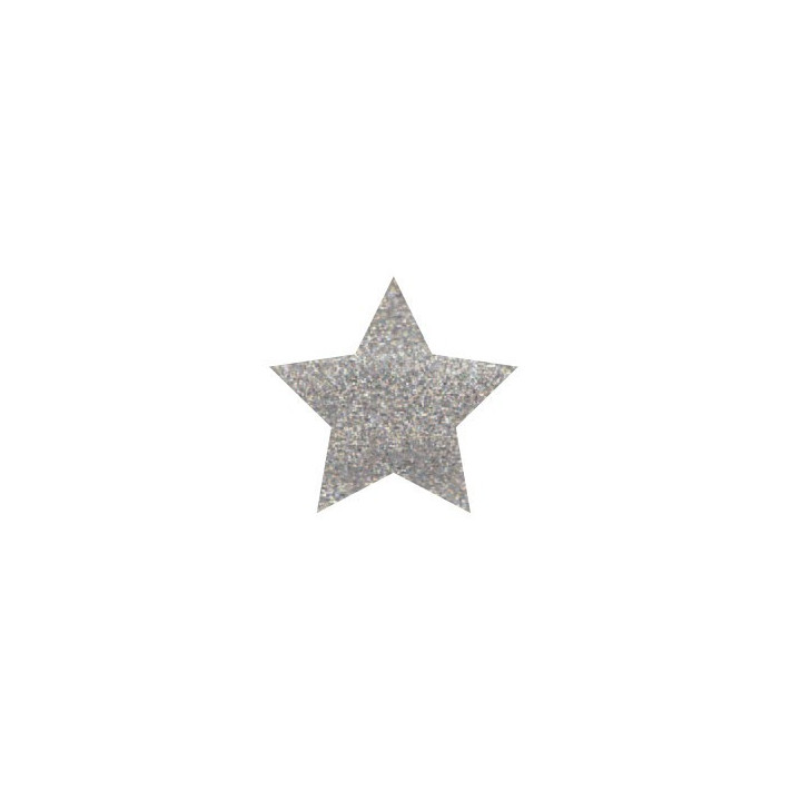 GLITTER POWDER PEN Hologr. Plata